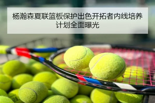 杨瀚森夏联篮板保护出色开拓者内线培养计划全面曝光